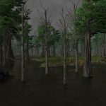 Swamp-Island-POT-1