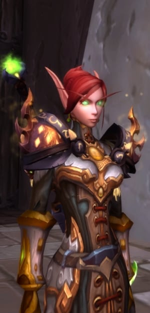 Blood Elf Paladin itself is an identity, on some level.