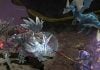 Vague Patch Notes: Do you guys not make friends? Pictured? Not me.