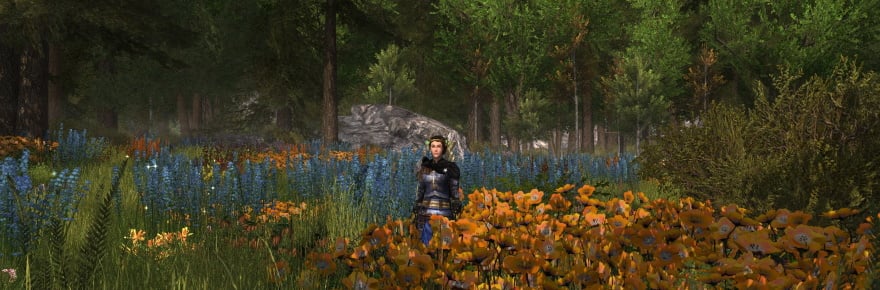 LOTRO and DDO re-enables character transfers, Wayfinder suffers three-week [Updated] | Overpowered