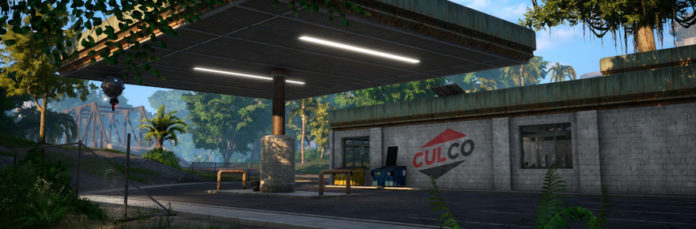 The Culling Game in a Nutshell