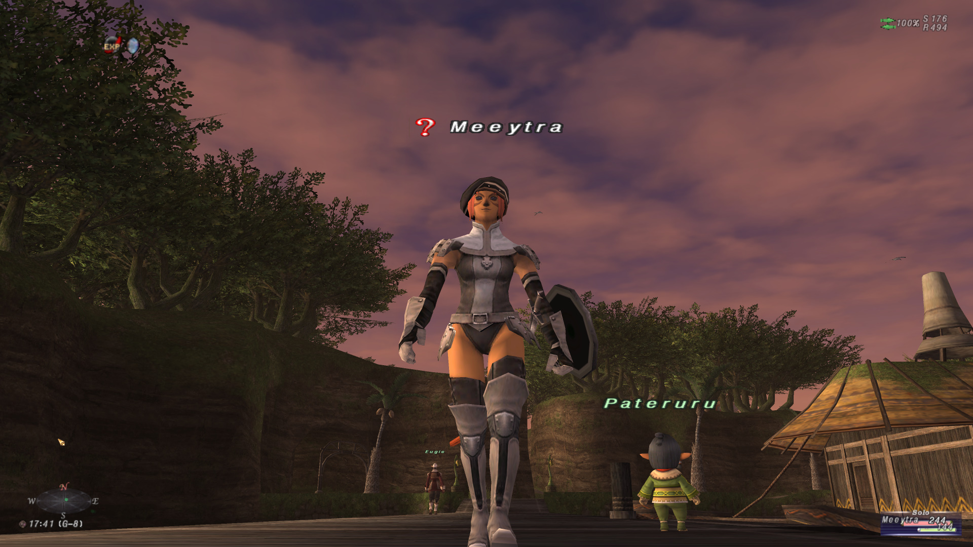 Choose My Adventure: What Final Fantasy XI taught me about games