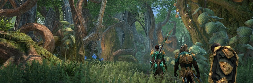 Elder Scrolls Online returns to the Netherlands for the Elfia fantasy fair later this month
