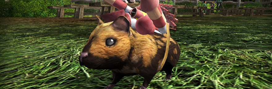 Lord of the Rings Online patches up ahead of tomorrow’s hamster event I mean anniversary event