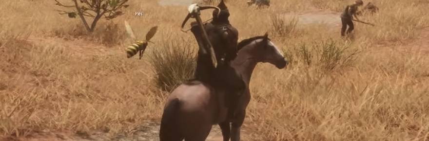 The Quinfall will let you dress up your horse and have a hornet for a pet