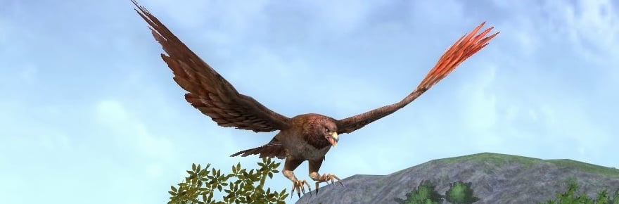 Lord of the Rings Online to reveal its newest hobby, Birdwatching, this Friday