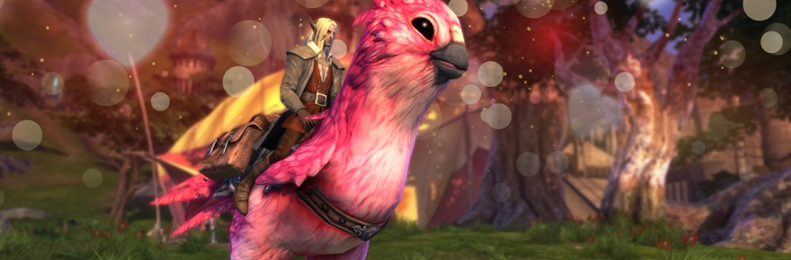 RIFT is off to the budgie races with its latest adorable event