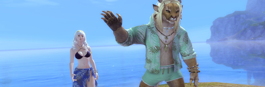 The Daily Grind: Do your MMO characters get into the summer spirit?