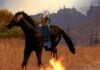 Vague Patch Notes: The MMO you play is still subject to the MMO that was designed Just a girl and her demon horse.