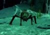 Vague Patch Notes: The inconvenience is the game of MMORPGs AH SPIDERS